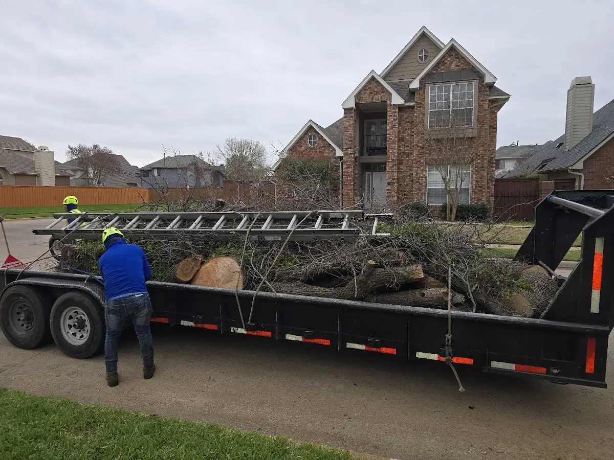 Expert Crown Reduction with proper safety equipment in Still Pond